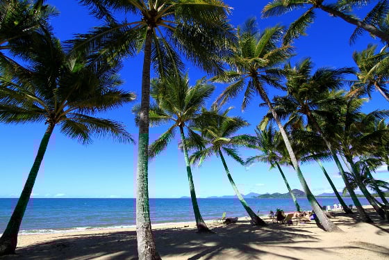 Palm Cove